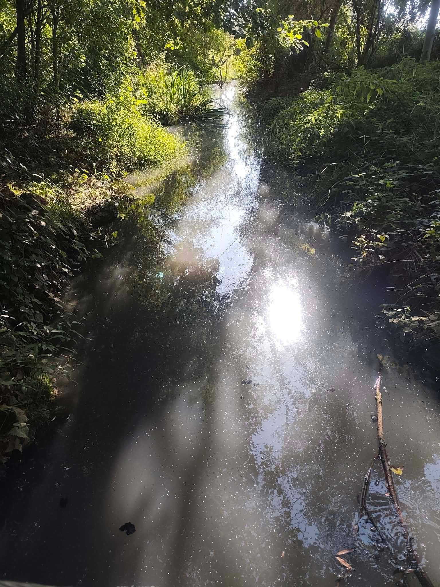 Fotografija 2