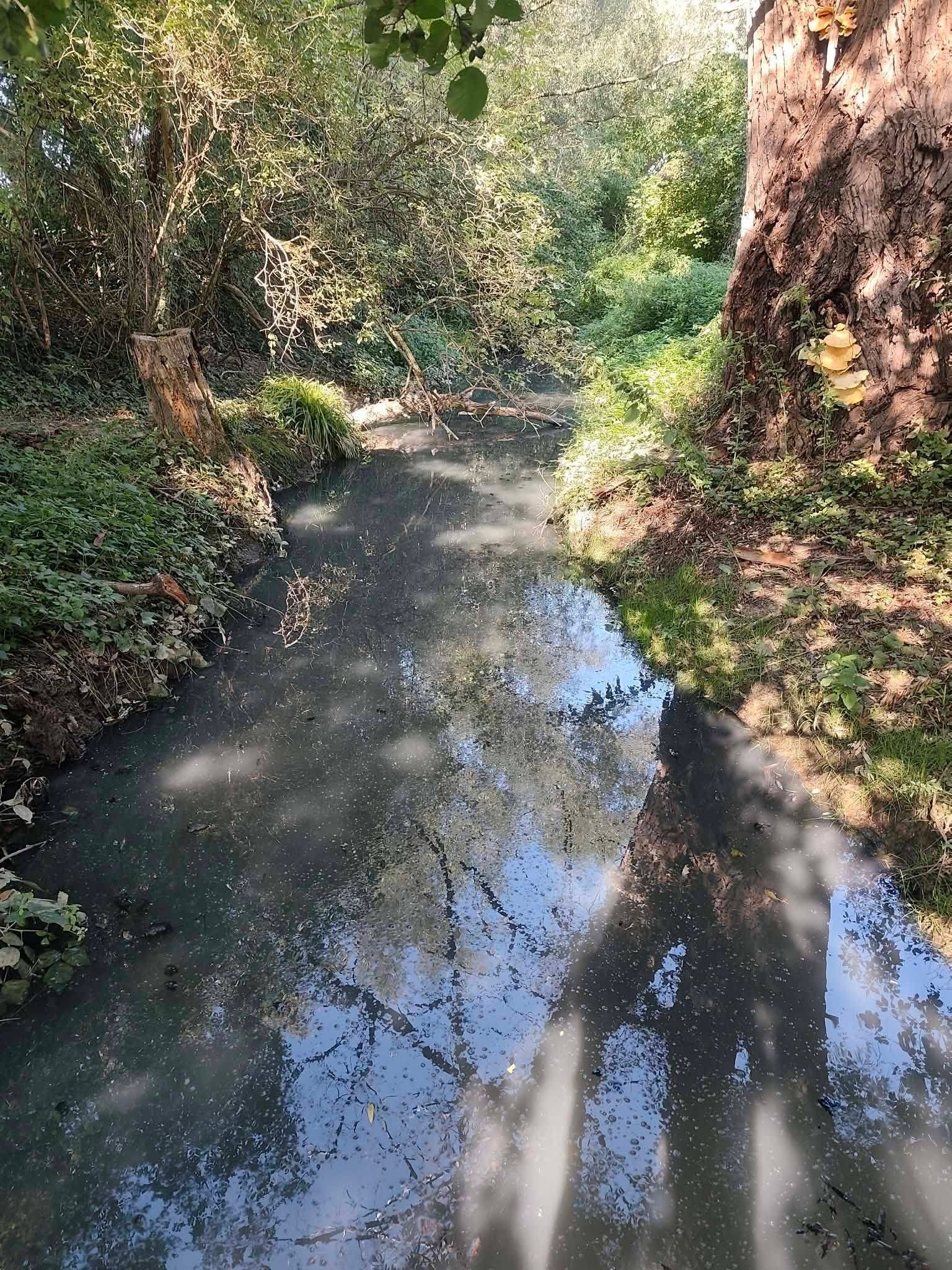 Fotografija 3